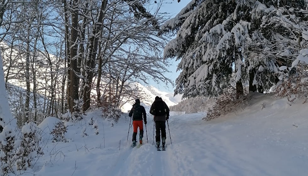 Bois du Lienz en hiver