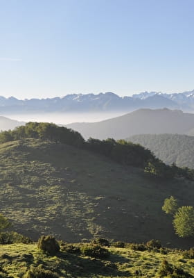 Pentes verdoyantes du Pibeste-Aoulhet et vue sur la chaîne des Pyrénées