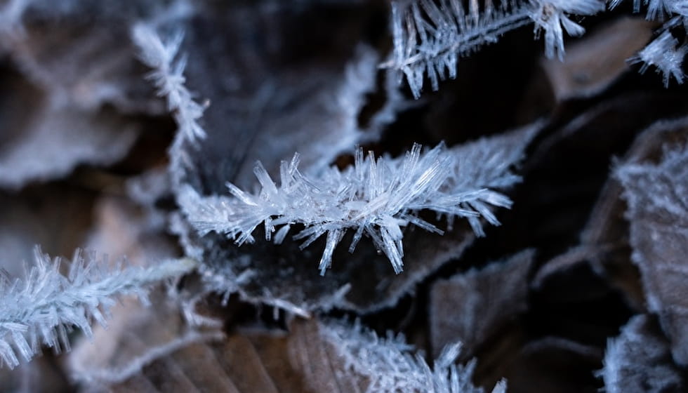 cristaux de glace