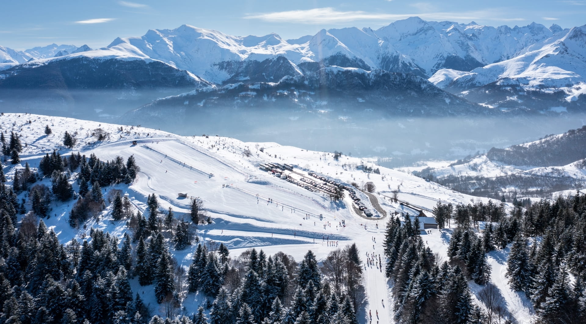 Montagne et forêt enneigés