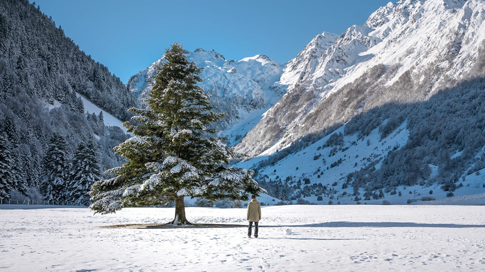 Paysage hivernal en montagne