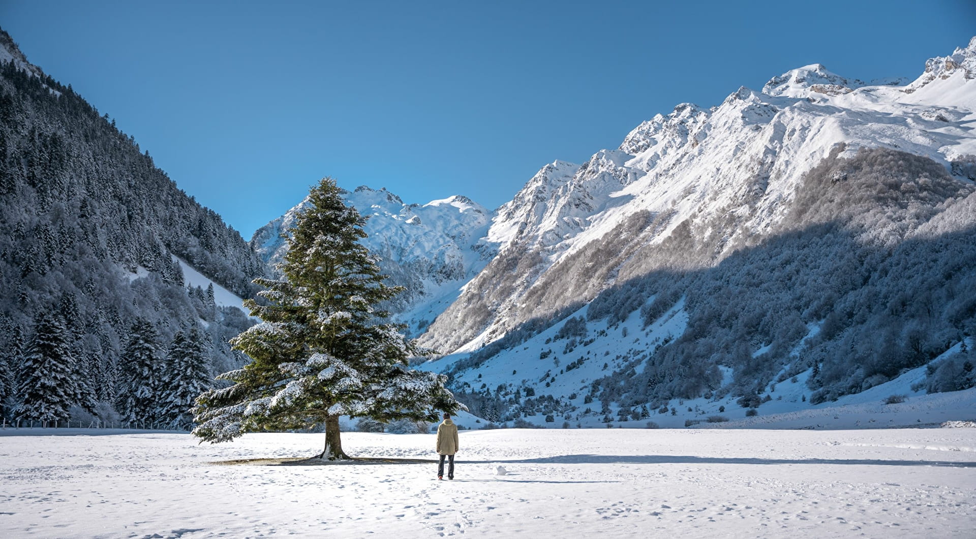 Paysage hivernal en montagne